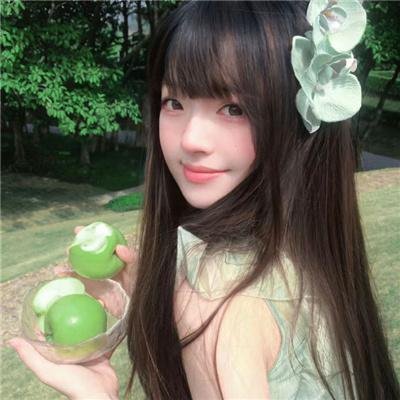 格卢莫夫的日记