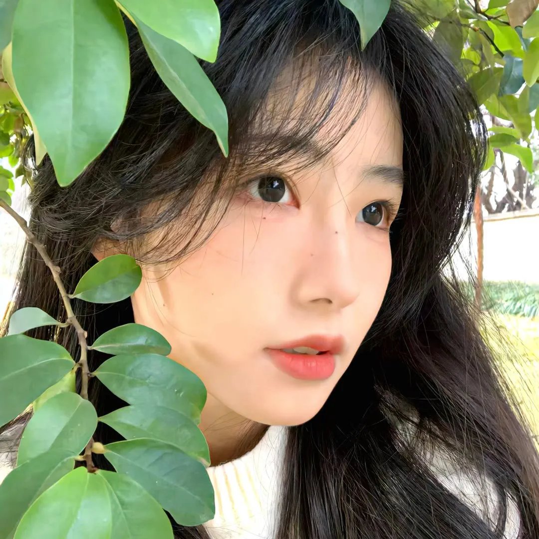 不灭之光