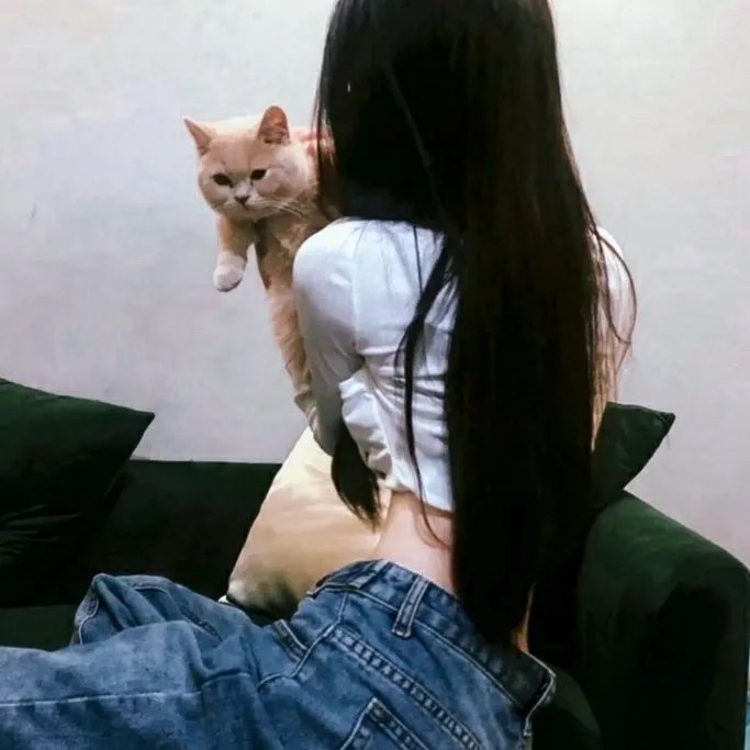 冷月